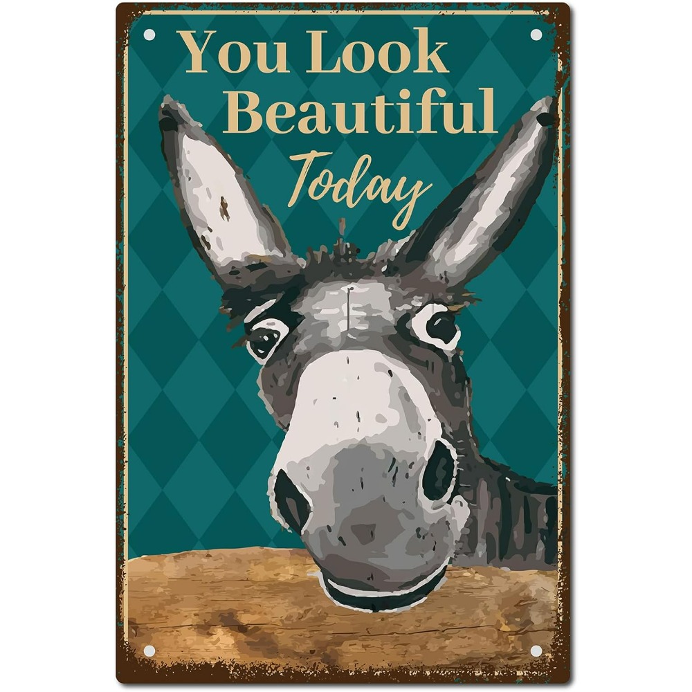 Men Accessories Look - Letreros de hojalata Vintage de burro,